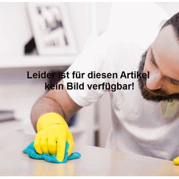 Cleanfix Treibteller 15 Zoll für RA 395 IBC