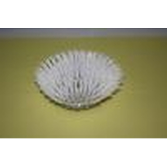 Cleanfix Schrubbrste 18 cm