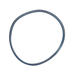 Unger HydroPower DI Dichtungsring - 19021