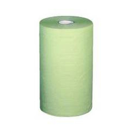 Temca Profix Rollenhandtuch 2lg grn Tissue 23cm 10...