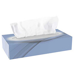 CLEAN and CLEVER 40 Boxen ECO AS 67 Kosmetiktuch 21x21cm...