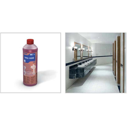 Into mild 1l ECOLAB milder Sanitrreiniger