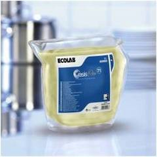 Oasis Pro 71 2x2l Handsplmittel Ecolab