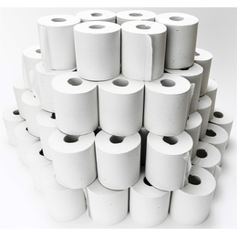 Katiclean Toilettenpapier 2-lagig, naturwei 64 Rollen x...