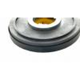 Cleanfix Treibteller High-Speed mit Schaumgummi