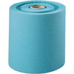 Serie 3000 Rollenhandtcher 2-lagig blau, 1 Rolle