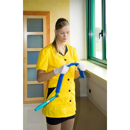 Mophalter Bit 60x7 cm Kunststoffrahmen mit Handgriff und...