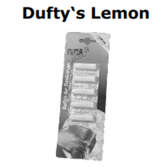 Floormagic Universal Staubsaugerduft Lemon, 1 Blister