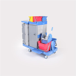 Reinigungswagen 1 Tresor - Kunststoff mit Halterahmen 2x...