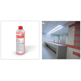 Into clean S kologischer Sanitrreiniger 5l ECOLAB