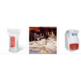 Guardian Des Desinfizierender Reiniger, sehr gute...