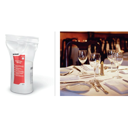 Ecolab Guardian Shield Chlor- und phosphatfrei I 3,8kg