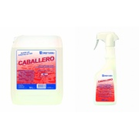 CABALLERO Sanit�r- und Badreiniger 10l von Dreiturm