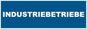Industriebetriebe kaufen gleich im B2B Shop ein