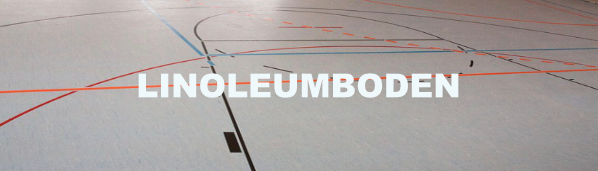 Welche Wischmopps sind fr Linoleumboden geeignet?